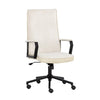 Swanson Office Chair <span>More color options available</span>
