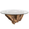 Natura Root Coffee Table